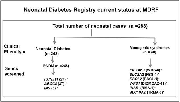 Neonatal diabetes